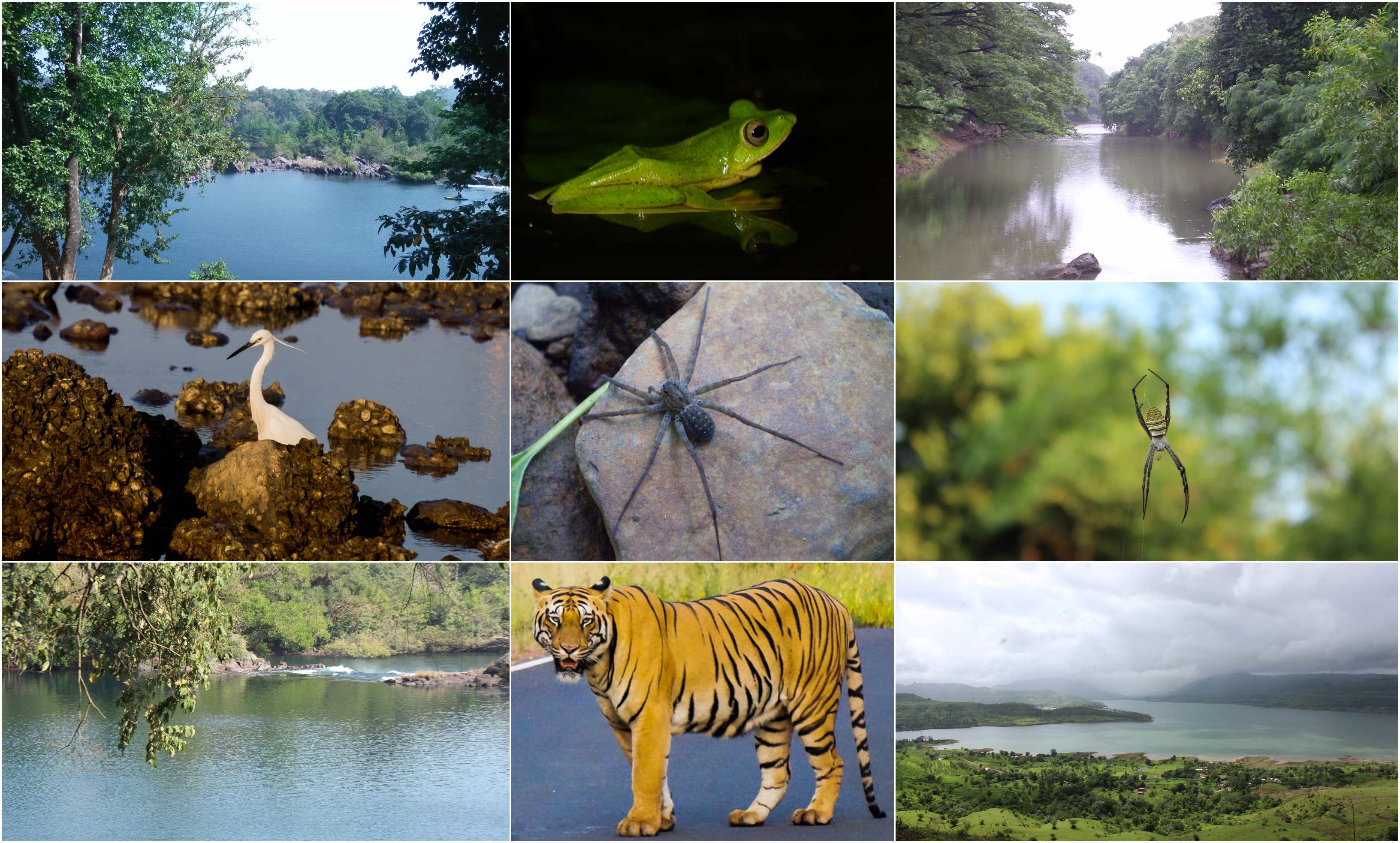 Biodiversity